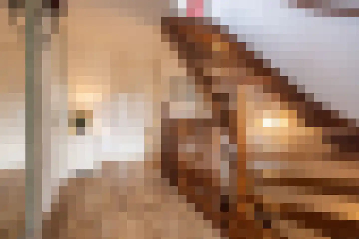 Oranjestraat 6 Nuenen thumbnail 33