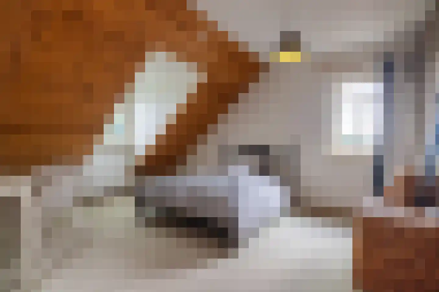 Oranjestraat 6 Nuenen thumbnail 34