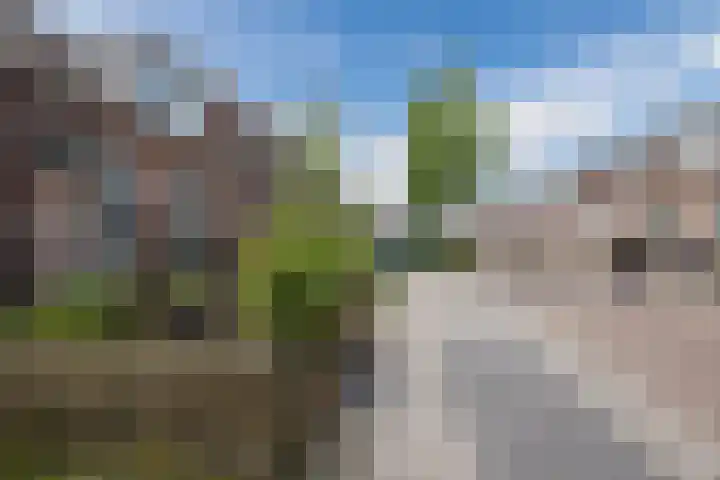 Oranjestraat 60 Hoogeveen thumbnail 28