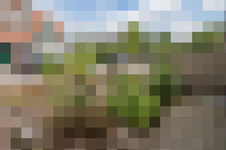 Oranjestraat 60 Hoogeveen thumbnail 29