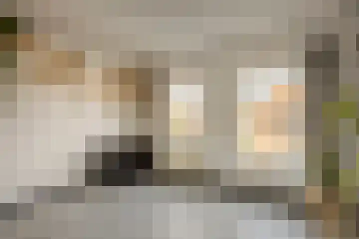 Oranjestraat 62 Terneuzen thumbnail 18