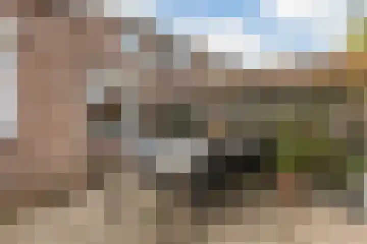 Oranjestraat 62 Terneuzen thumbnail 26