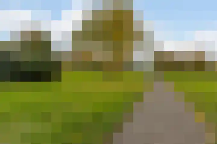 Oranjestraat 62 Terneuzen thumbnail 31