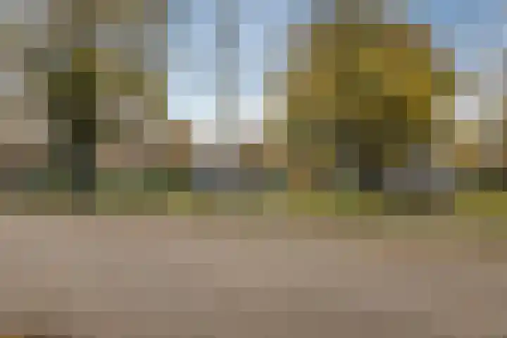 Oranjestraat 62 Terneuzen thumbnail 32