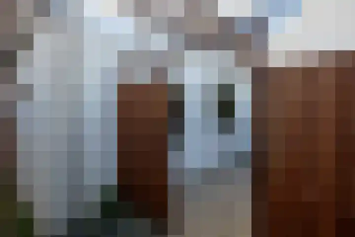Oranjestraat 64 Alphen aan den Rijn thumbnail 27