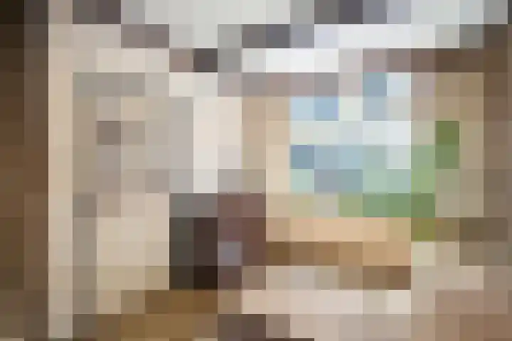 Oranjestraat 64 Alphen aan den Rijn thumbnail 6