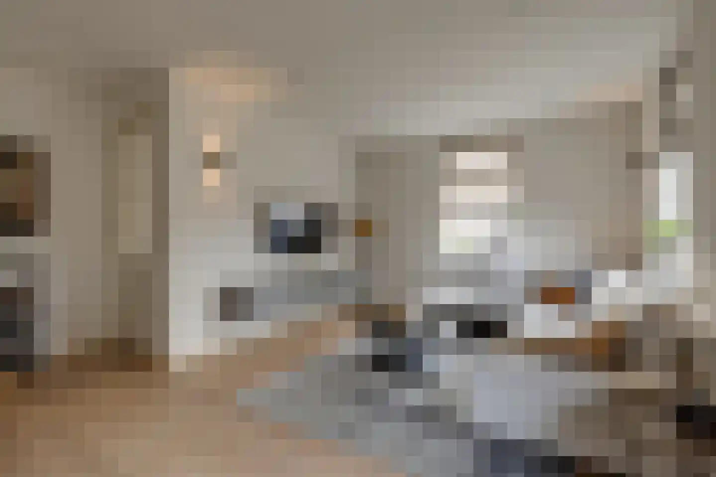 Oranjestraat 64 Varsseveld thumbnail 13