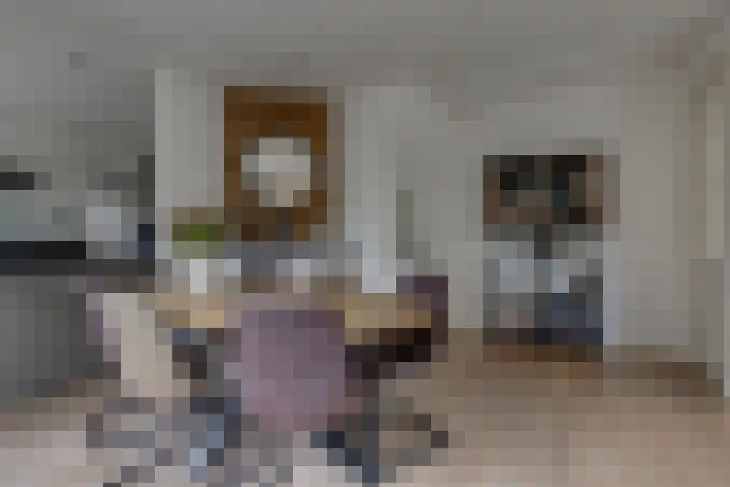 Oranjestraat 64 Varsseveld thumbnail 4