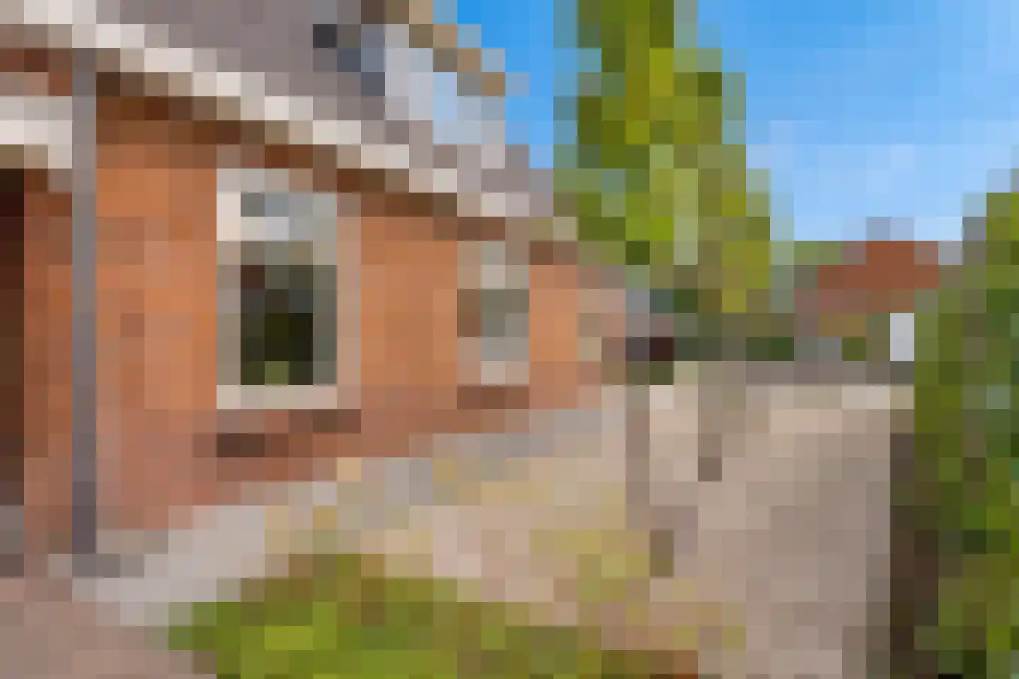 Oranjestraat 64 Varsseveld thumbnail 48