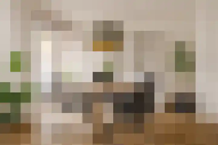 Oranjestraat 65 IJmuiden thumbnail 13