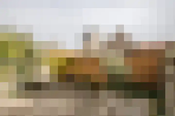 Oranjestraat 65 IJmuiden thumbnail 30