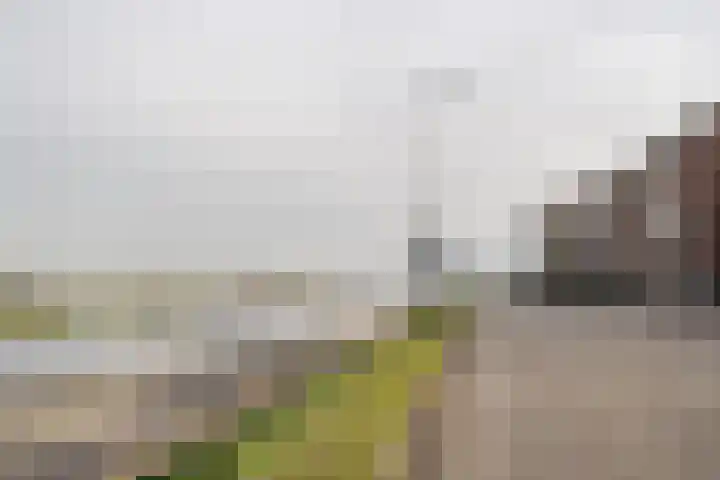 Oranjestraat 65 IJmuiden thumbnail 31
