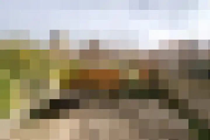Oranjestraat 65 IJmuiden thumbnail 4