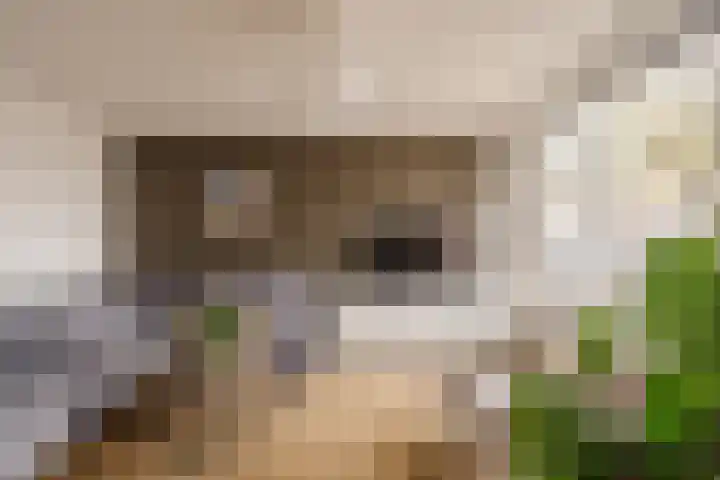 Oranjestraat 65 IJmuiden thumbnail 9