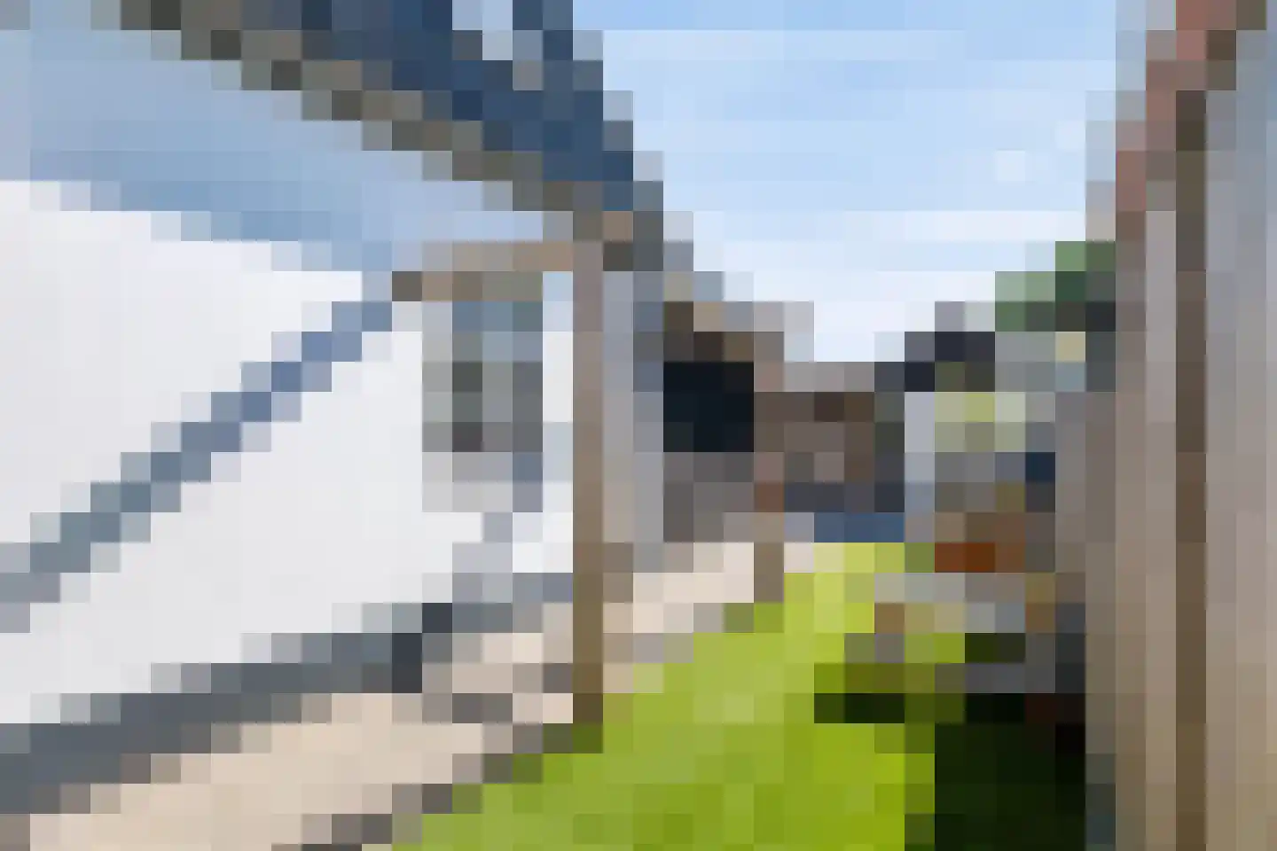 Oranjestraat 67 Apeldoorn thumbnail 5