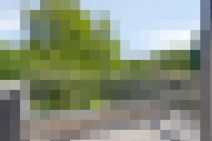 Oranjestraat 68 Best thumbnail 27