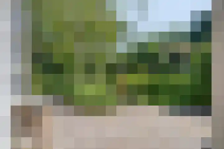 Oranjestraat 68 Best thumbnail 35