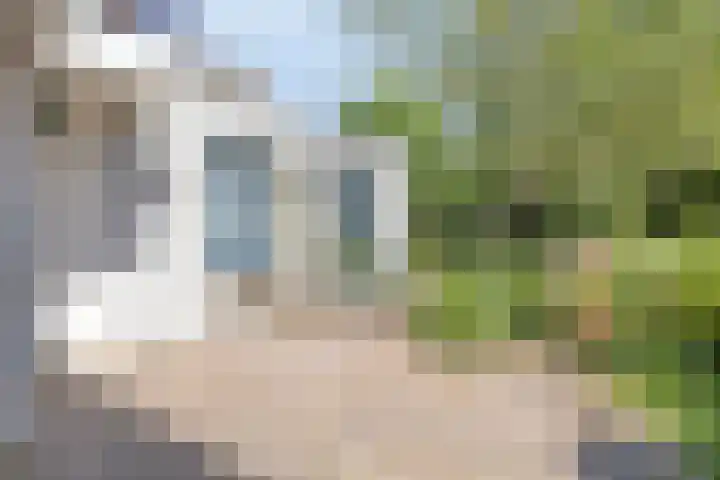 Oranjestraat 68 Best thumbnail 37