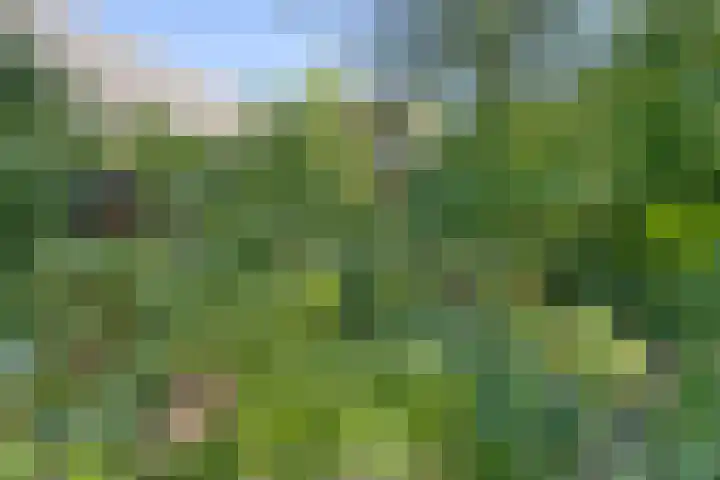 Oranjestraat 68 Best thumbnail 41