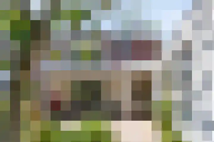 Oranjestraat 68 Best thumbnail 44