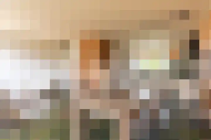 Oranjestraat 7 De Rijp thumbnail 10