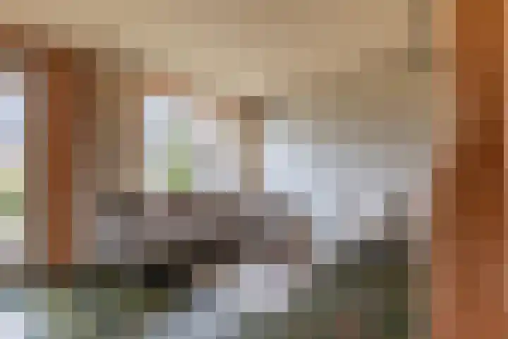 Oranjestraat 7 De Rijp thumbnail 4