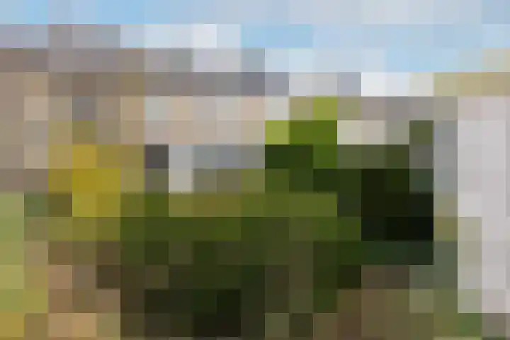 Oranjestraat 7 De Rijp thumbnail 43