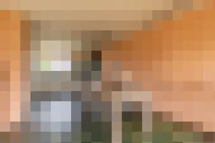 Oranjestraat 7 De Rijp thumbnail 9