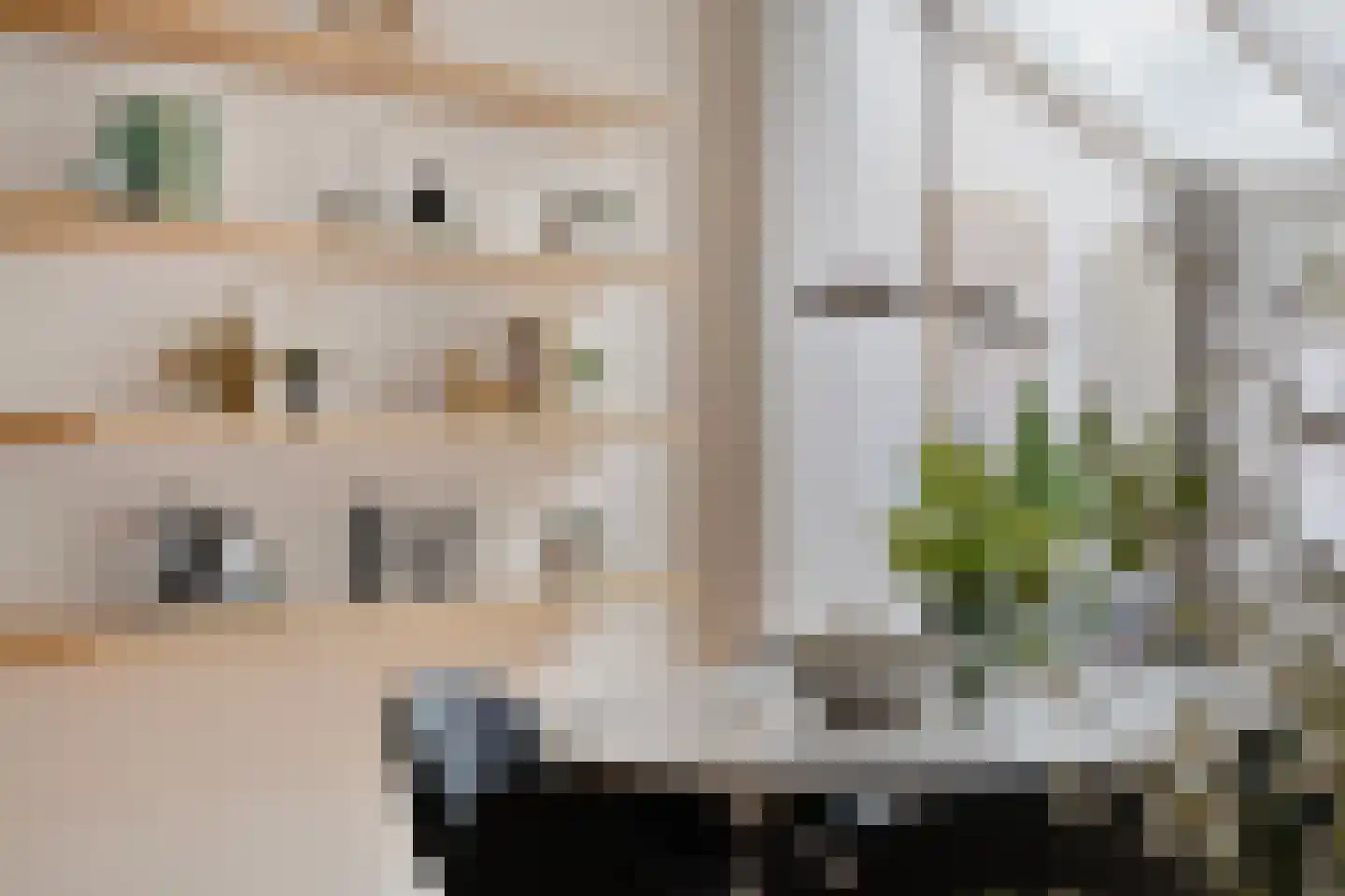 Oranjestraat 7 Eindhoven thumbnail 14