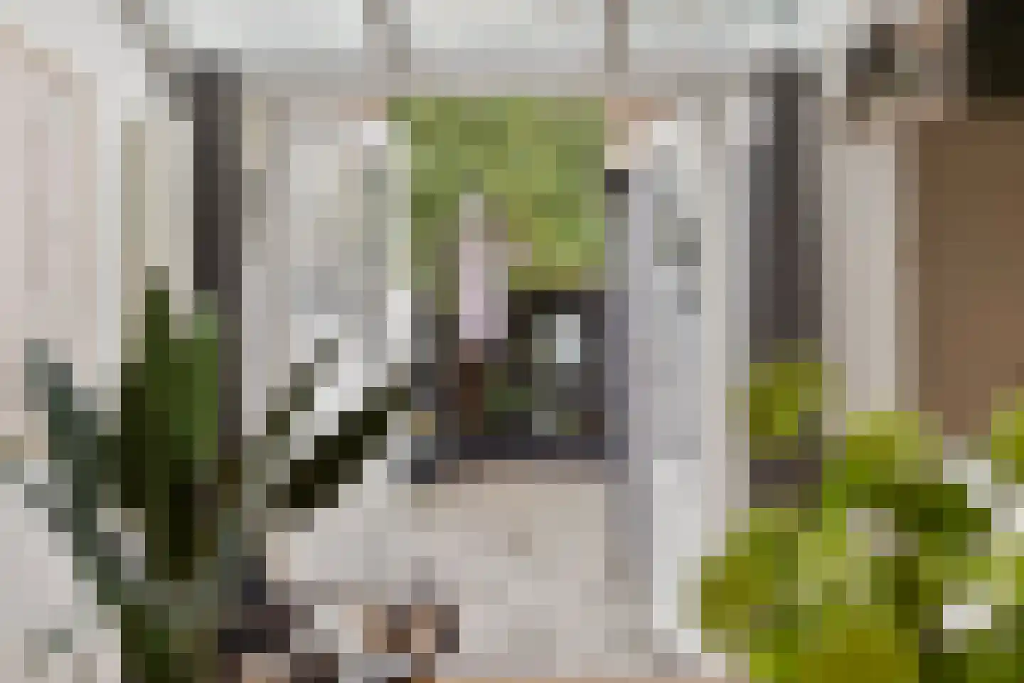 Oranjestraat 7 Eindhoven thumbnail 16