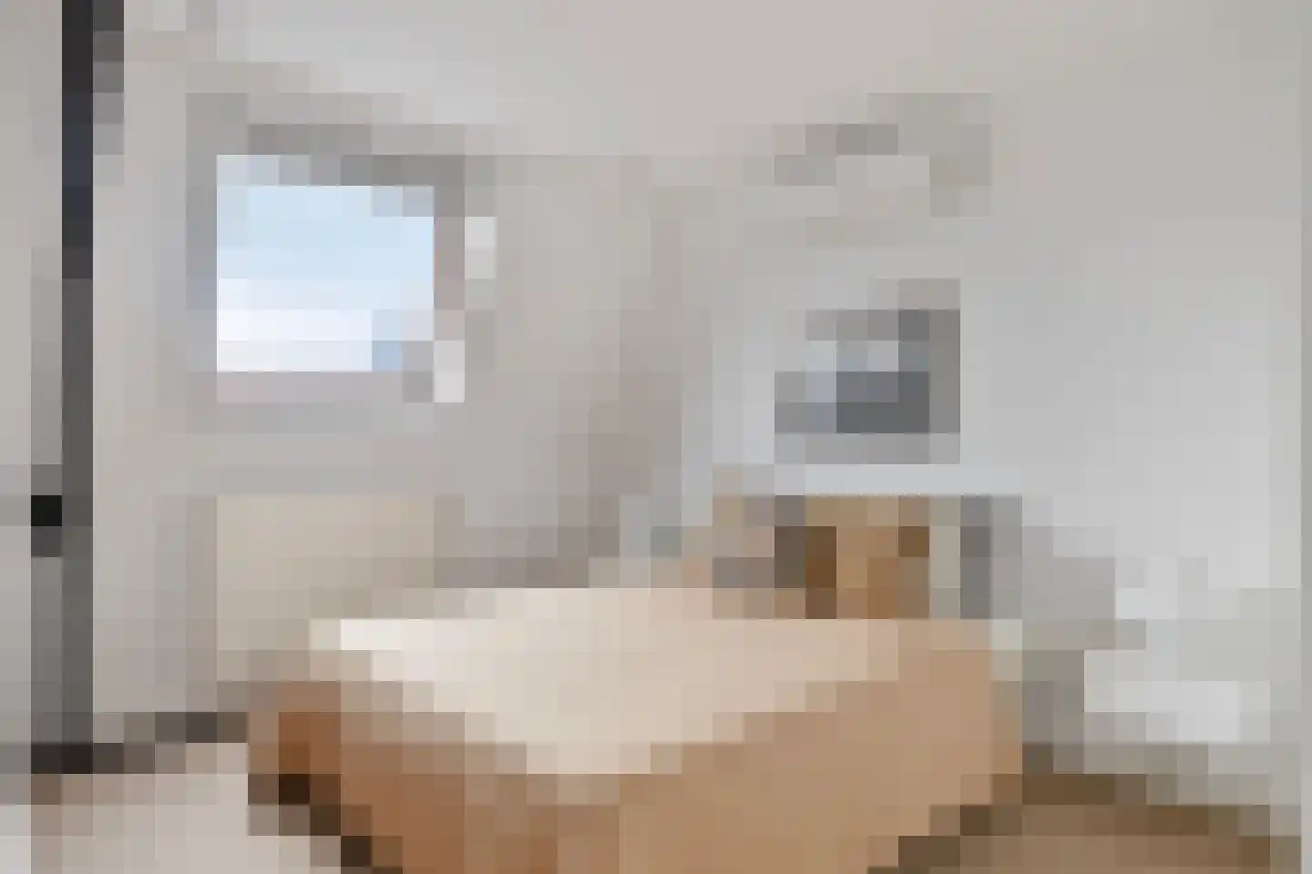 Oranjestraat 7 Eindhoven thumbnail 23
