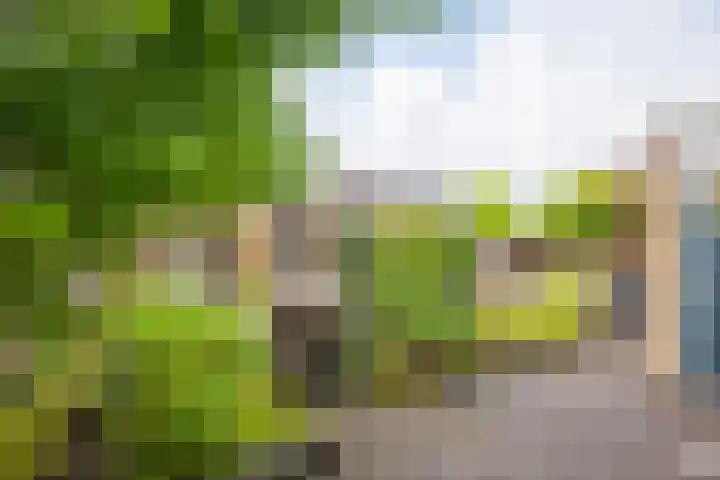 Oranjestraat 7 Groenlo thumbnail 36
