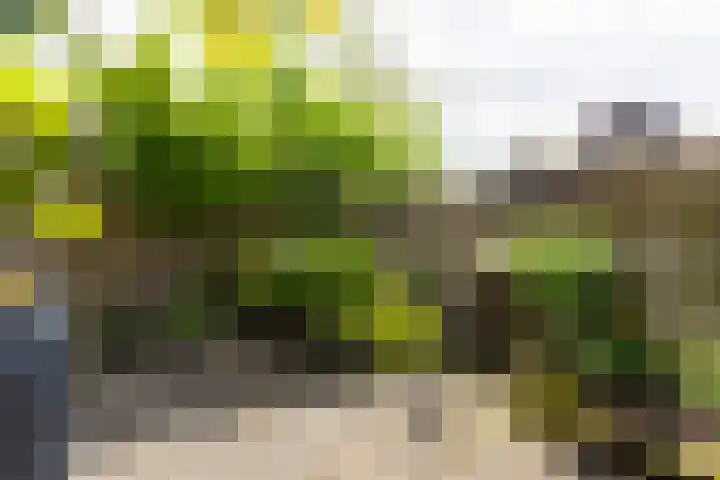 Oranjestraat 7 Groenlo thumbnail 38
