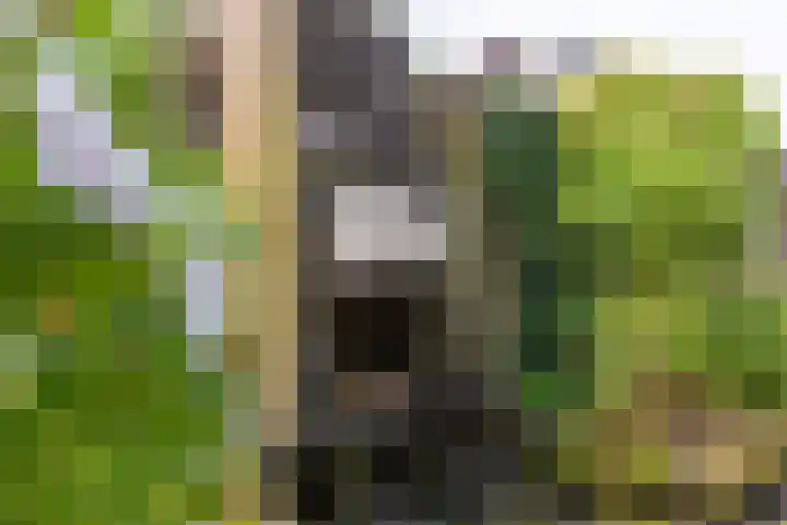 Oranjestraat 7 Groenlo thumbnail 39