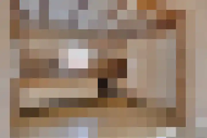 Oranjestraat 7 Groenlo thumbnail 4