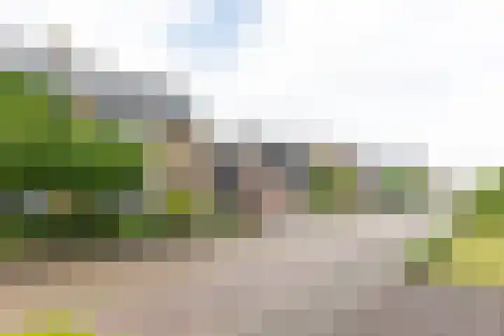 Oranjestraat 7 Groenlo thumbnail 41