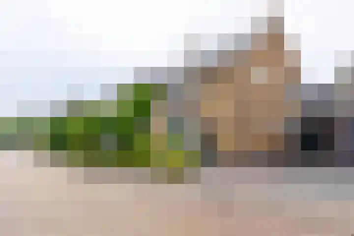 Oranjestraat 7 Groenlo thumbnail 42