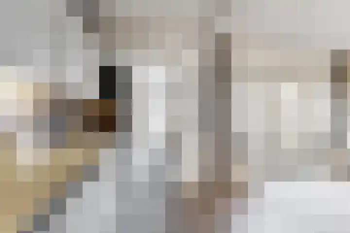 Oranjestraat 7 Klundert thumbnail 24