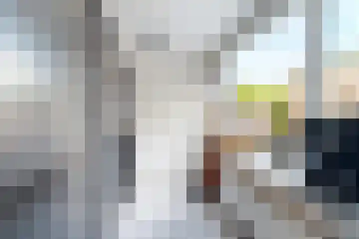 Oranjestraat 7 Klundert thumbnail 25