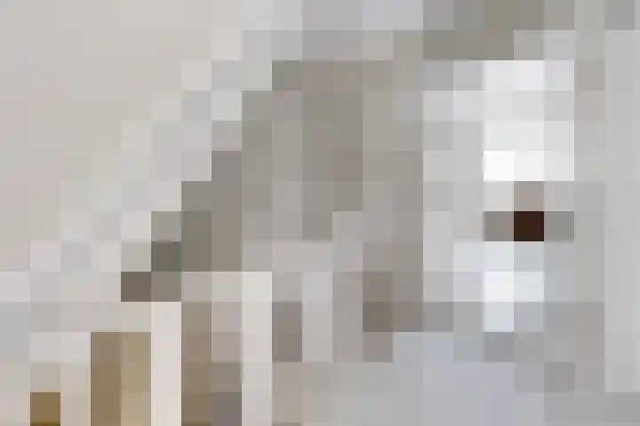 Oranjestraat 7 Klundert thumbnail 29