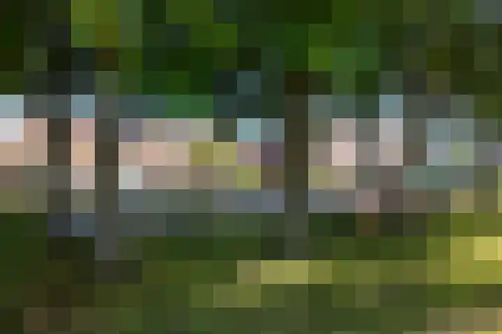 Oranjestraat 7 Klundert thumbnail 62