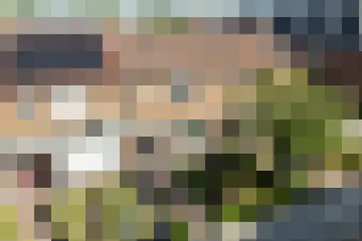 Oranjestraat 7 Klundert thumbnail 65