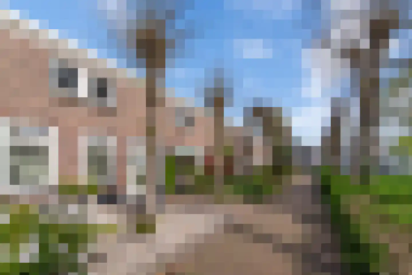 Oranjestraat 7 Veenendaal thumbnail 35