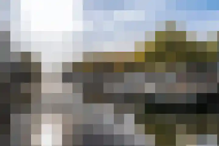 Oranjestraat 71 Schiedam thumbnail 21