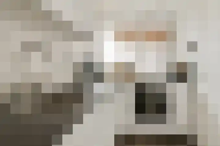 Oranjestraat 71 Schiedam thumbnail 9