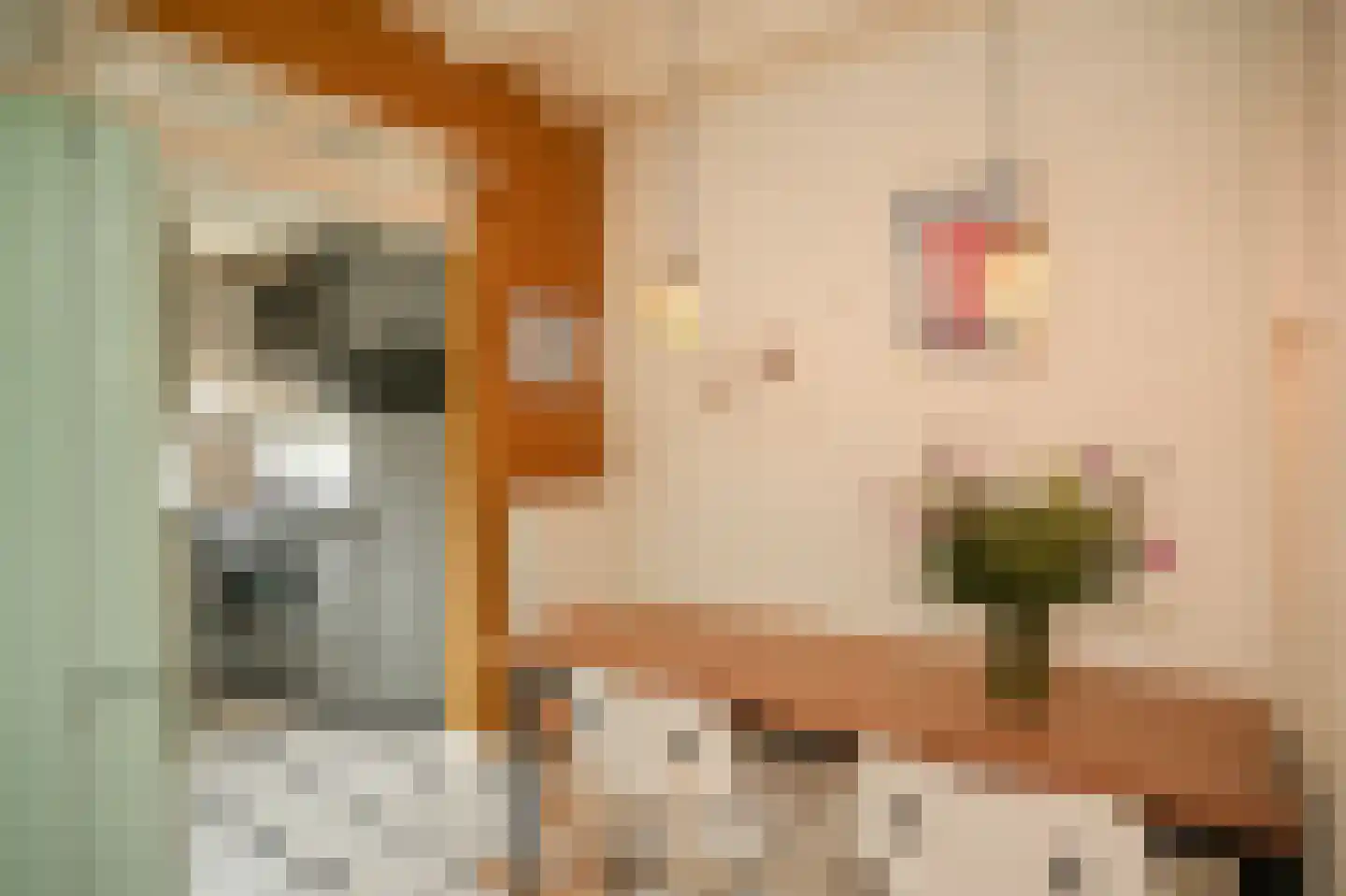 Oranjestraat 73 Beusichem thumbnail 10