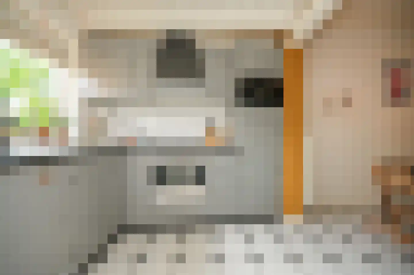 Oranjestraat 73 Beusichem thumbnail 13