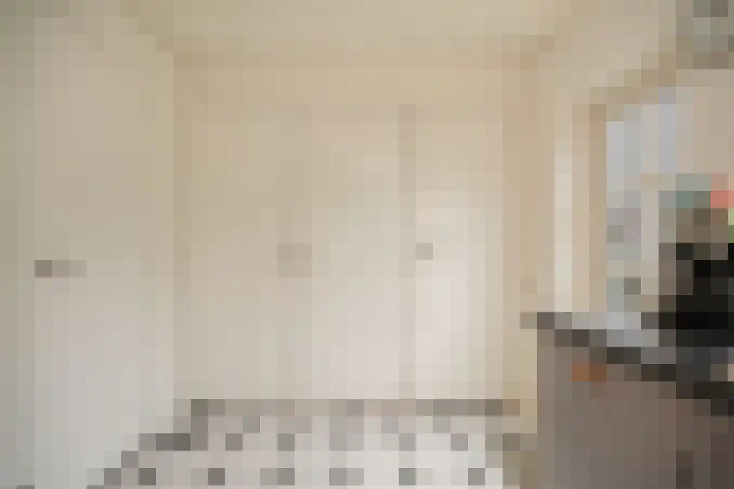 Oranjestraat 73 Beusichem thumbnail 17