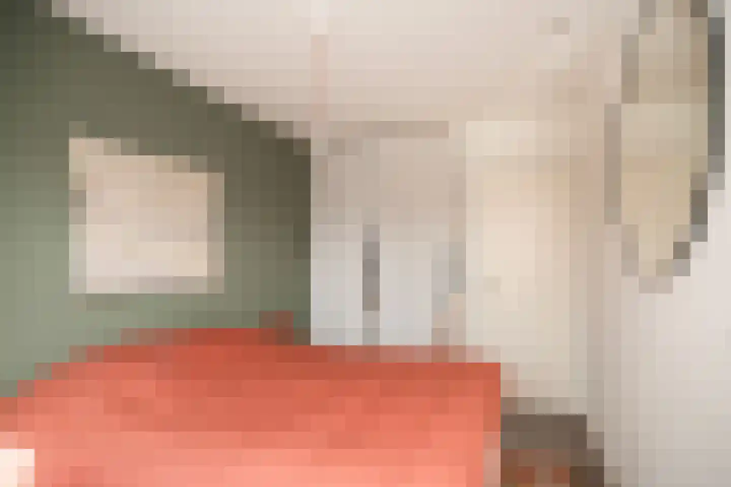Oranjestraat 73 Beusichem thumbnail 22