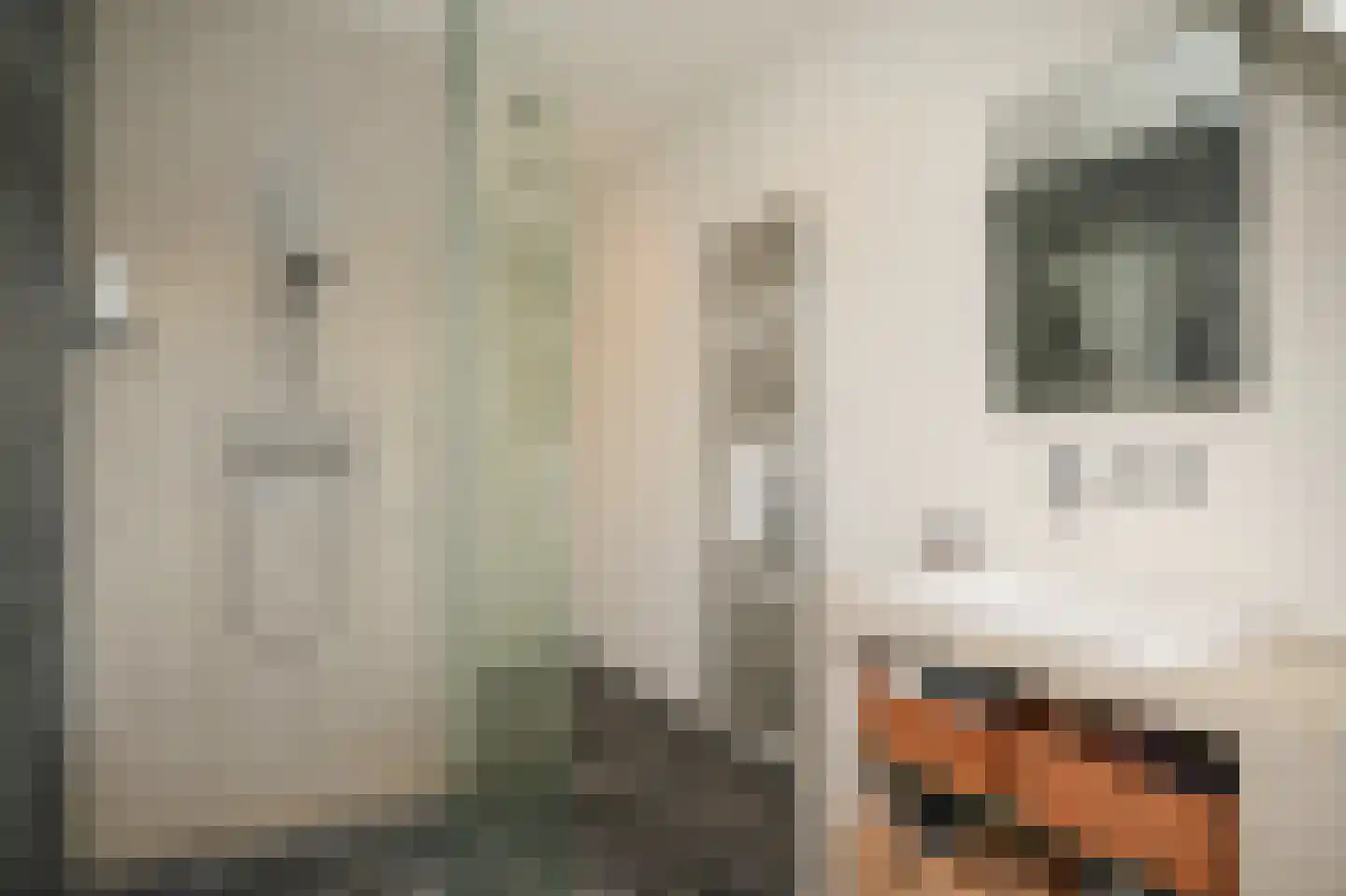 Oranjestraat 73 Beusichem thumbnail 24